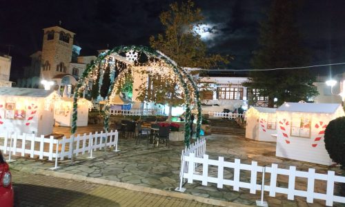 CHRISTMAS DECO & MORE (14)