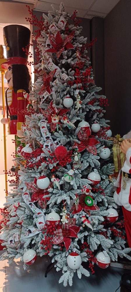 IMG20231117114021